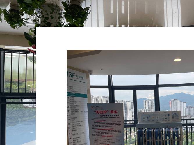 共享陪护床:以贴心之举助力医院深化人文关怀服务